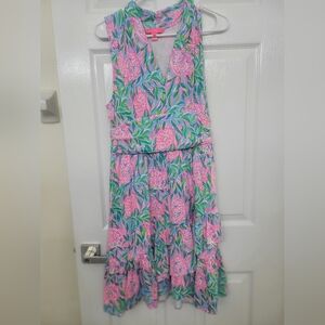 Lilly Dress NWOT